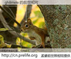 #孟婆前世照相馆# 【ghilimele 的前世相片】我们都曾从奈何桥上走过，喝下三碗忘川之水烹煮的孟婆汤，忘却了前尘旧事。孟婆前世照相馆，保存着你前世的数码相片。ghilimele 的前世相片，有图有真相：