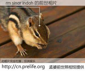 #孟婆前世照相馆# 【rm sinar indah 的前世相片】我们都曾从奈何桥上走过，喝下三碗忘川之水烹煮的孟婆汤，忘却了前尘旧事。孟婆前世照相馆，保存着你前世的数码相片。rm sinar indah 的前世相片，有图有真相：