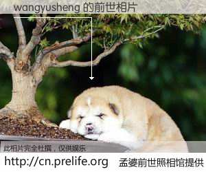 #孟婆前世照相馆# 【wangyusheng 的前世相片】我们都曾从奈何桥上走过，喝下三碗忘川之水烹煮的孟婆汤，忘却了前尘旧事。孟婆前世照相馆，保存着你前世的数码相片。wangyusheng 的前世相片，有图有真相：