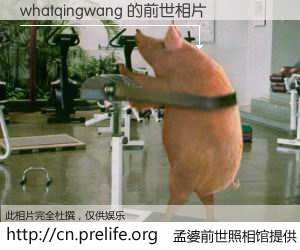 #孟婆前世照相馆# 【whatqingwang 的前世相片】我们都曾从奈何桥上走过，喝下三碗忘川之水烹煮的孟婆汤，忘却了前尘旧事。孟婆前世照相馆，保存着你前世的数码相片。whatqingwang 的前世相片，有图有真相：