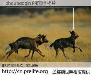 #孟婆前世照相馆# 【zhoubaoqin 的前世相片】我们都曾从奈何桥上走过，喝下三碗忘川之水烹煮的孟婆汤，忘却了前尘旧事。孟婆前世照相馆，保存着你前世的数码相片。zhoubaoqin 的前世相片，有图有真相：