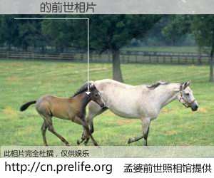 #孟婆前世照相馆# 【�� 的前世相片】我们都曾从奈何桥上走过，喝下三碗忘川之水烹煮的孟婆汤，忘却了前尘旧事。孟婆前世照相馆，保存着你前世的数码相片。�� 的前世相片，有图有真相：