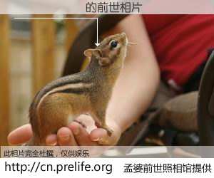 #孟婆前世照相馆# 【������ 的前世相片】我们都曾从奈何桥上走过，喝下三碗忘川之水烹煮的孟婆汤，忘却了前尘旧事。孟婆前世照相馆，保存着你前世的数码相片。������ 的前世相片，有图有真相：