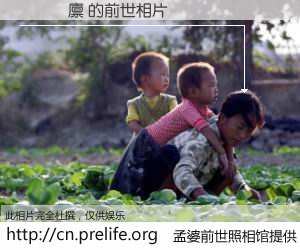 #孟婆前世照相馆# 【���廪 的前世相片】我们都曾从奈何桥上走过，喝下三碗忘川之水烹煮的孟婆汤，忘却了前尘旧事。孟婆前世照相馆，保存着你前世的数码相片。���廪 的前世相片，有图有真相：