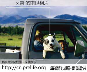 #孟婆前世照相馆# 【���氲 的前世相片】我们都曾从奈何桥上走过，喝下三碗忘川之水烹煮的孟婆汤，忘却了前尘旧事。孟婆前世照相馆，保存着你前世的数码相片。���氲 的前世相片，有图有真相：