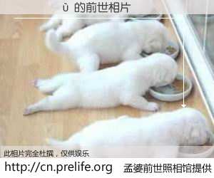 #孟婆前世照相馆# 【¬���� 的前世相片】我们都曾从奈何桥上走过，喝下三碗忘川之水烹煮的孟婆汤，忘却了前尘旧事。孟婆前世照相馆，保存着你前世的数码相片。¬���� 的前世相片，有图有真相：