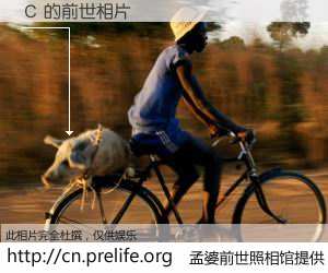 #孟婆前世照相馆# 【С 的前世相片】我们都曾从奈何桥上走过，喝下三碗忘川之水烹煮的孟婆汤，忘却了前尘旧事。孟婆前世照相馆，保存着你前世的数码相片。С 的前世相片，有图有真相：
