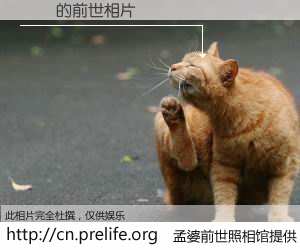 #孟婆前世照相馆# 【ճʿ 的前世相片】我们都曾从奈何桥上走过，喝下三碗忘川之水烹煮的孟婆汤，忘却了前尘旧事。孟婆前世照相馆，保存着你前世的数码相片。ճʿ 的前世相片，有图有真相：