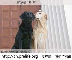 #孟婆前世照相馆# 【فعخ 的前世相片】我们都曾从奈何桥上走过，喝下三碗忘川之水烹煮的孟婆汤，忘却了前尘旧事。孟婆前世照相馆，保存着你前世的数码相片。فعخ 的前世相片，有图有真相：