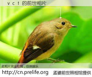 #孟婆前世照相馆# 【ｖｃｔ 的前世相片】我们都曾从奈何桥上走过，喝下三碗忘川之水烹煮的孟婆汤，忘却了前尘旧事。孟婆前世照相馆，保存着你前世的数码相片。ｖｃｔ 的前世相片，有图有真相：