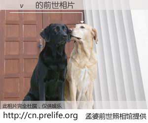 #孟婆前世照相馆# 【�ν� 的前世相片】我们都曾从奈何桥上走过，喝下三碗忘川之水烹煮的孟婆汤，忘却了前尘旧事。孟婆前世照相馆，保存着你前世的数码相片。�ν� 的前世相片，有图有真相：