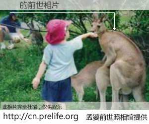 #孟婆前世照相馆# 【ⲽ 的前世相片】我们都曾从奈何桥上走过，喝下三碗忘川之水烹煮的孟婆汤，忘却了前尘旧事。孟婆前世照相馆，保存着你前世的数码相片。ⲽ 的前世相片，有图有真相：