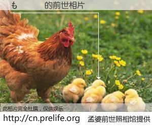 #孟婆前世照相馆# 【もแปล 的前世相片】我们都曾从奈何桥上走过，喝下三碗忘川之水烹煮的孟婆汤，忘却了前尘旧事。孟婆前世照相馆，保存着你前世的数码相片。もแปล 的前世相片，有图有真相：