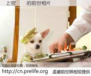 #孟婆前世照相馆# 【上官濛濛 的前世相片】我们都曾从奈何桥上走过，喝下三碗忘川之水烹煮的孟婆汤，忘却了前尘旧事。孟婆前世照相馆，保存着你前世的数码相片。上官濛濛 的前世相片，有图有真相：