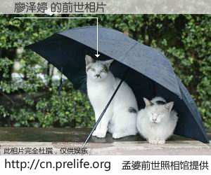 #孟婆前世照相馆# 【廖泽婷 的前世相片】我们都曾从奈何桥上走过，喝下三碗忘川之水烹煮的孟婆汤，忘却了前尘旧事。孟婆前世照相馆，保存着你前世的数码相片。廖泽婷 的前世相片，有图有真相：