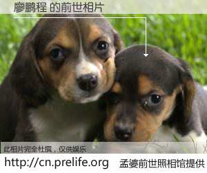 #孟婆前世照相馆# 【廖鹏程 的前世相片】我们都曾从奈何桥上走过，喝下三碗忘川之水烹煮的孟婆汤，忘却了前尘旧事。孟婆前世照相馆，保存着你前世的数码相片。廖鹏程 的前世相片，有图有真相：