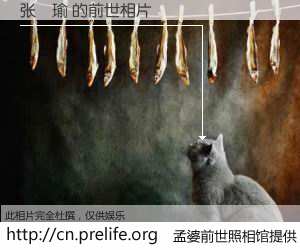 #孟婆前世照相馆# 【张赟瑜 的前世相片】我们都曾从奈何桥上走过，喝下三碗忘川之水烹煮的孟婆汤，忘却了前尘旧事。孟婆前世照相馆，保存着你前世的数码相片。张赟瑜 的前世相片，有图有真相：