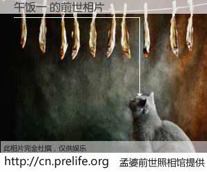 #孟婆前世照相馆# 【午饭一 的前世相片】我们都曾从奈何桥上走过，喝下三碗忘川之水烹煮的孟婆汤，忘却了前尘旧事。孟婆前世照相馆，保存着你前世的数码相片。午饭一 的前世相片，有图有真相：