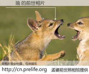 #孟婆前世照相馆# 【劉軒瑜 的前世相片】我们都曾从奈何桥上走过，喝下三碗忘川之水烹煮的孟婆汤，忘却了前尘旧事。孟婆前世照相馆，保存着你前世的数码相片。劉軒瑜 的前世相片，有图有真相：