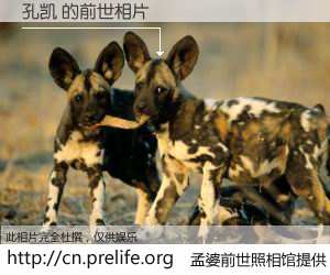 #孟婆前世照相馆# 【孔凯 的前世相片】我们都曾从奈何桥上走过，喝下三碗忘川之水烹煮的孟婆汤，忘却了前尘旧事。孟婆前世照相馆，保存着你前世的数码相片。孔凯 的前世相片，有图有真相：