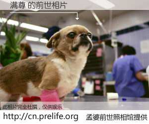 #孟婆前世照相馆# 【满尊 的前世相片】我们都曾从奈何桥上走过，喝下三碗忘川之水烹煮的孟婆汤，忘却了前尘旧事。孟婆前世照相馆，保存着你前世的数码相片。满尊 的前世相片，有图有真相：