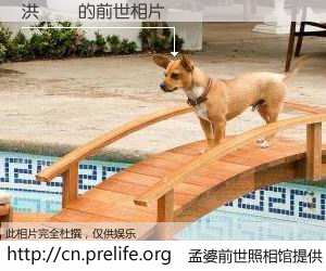 #孟婆前世照相馆# 【洪凱倫 的前世相片】我们都曾从奈何桥上走过，喝下三碗忘川之水烹煮的孟婆汤，忘却了前尘旧事。孟婆前世照相馆，保存着你前世的数码相片。洪凱倫 的前世相片，有图有真相：