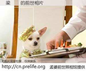 #孟婆前世照相馆# 【梁晞蕎 的前世相片】我们都曾从奈何桥上走过，喝下三碗忘川之水烹煮的孟婆汤，忘却了前尘旧事。孟婆前世照相馆，保存着你前世的数码相片。梁晞蕎 的前世相片，有图有真相：