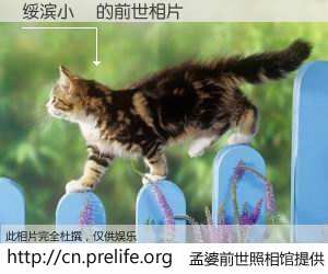 #孟婆前世照相馆# 【绥滨小嘠 的前世相片】我们都曾从奈何桥上走过，喝下三碗忘川之水烹煮的孟婆汤，忘却了前尘旧事。孟婆前世照相馆，保存着你前世的数码相片。绥滨小嘠 的前世相片，有图有真相：