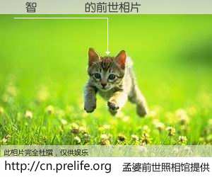 #孟婆前世照相馆# 【羅智𠎀 的前世相片】我们都曾从奈何桥上走过，喝下三碗忘川之水烹煮的孟婆汤，忘却了前尘旧事。孟婆前世照相馆，保存着你前世的数码相片。羅智𠎀 的前世相片，有图有真相：