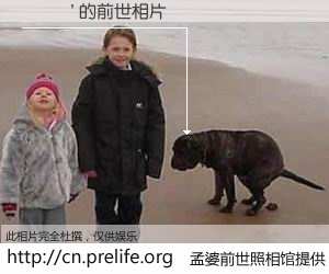 #孟婆前世照相馆# 【綠磃 的前世相片】我们都曾从奈何桥上走过，喝下三碗忘川之水烹煮的孟婆汤，忘却了前尘旧事。孟婆前世照相馆，保存着你前世的数码相片。綠磃 的前世相片，有图有真相：