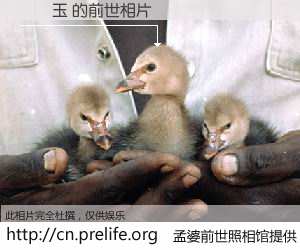 #孟婆前世照相馆# 【盧寶玉 的前世相片】我们都曾从奈何桥上走过，喝下三碗忘川之水烹煮的孟婆汤，忘却了前尘旧事。孟婆前世照相馆，保存着你前世的数码相片。盧寶玉 的前世相片，有图有真相：