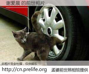 #孟婆前世照相馆# 【谢爱晨 的前世相片】我们都曾从奈何桥上走过，喝下三碗忘川之水烹煮的孟婆汤，忘却了前尘旧事。孟婆前世照相馆，保存着你前世的数码相片。谢爱晨 的前世相片，有图有真相：