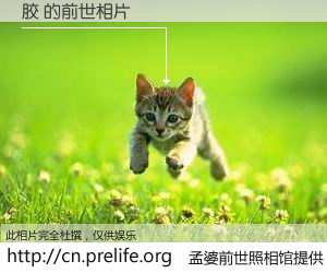 #孟婆前世照相馆# 【胶 的前世相片】我们都曾从奈何桥上走过，喝下三碗忘川之水烹煮的孟婆汤，忘却了前尘旧事。孟婆前世照相馆，保存着你前世的数码相片。胶 的前世相片，有图有真相：