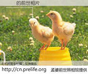 #孟婆前世照相馆# 【蟲師 的前世相片】我们都曾从奈何桥上走过，喝下三碗忘川之水烹煮的孟婆汤，忘却了前尘旧事。孟婆前世照相馆，保存着你前世的数码相片。蟲師 的前世相片，有图有真相：