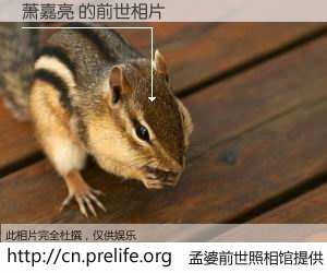 #孟婆前世照相馆# 【萧嘉亮 的前世相片】我们都曾从奈何桥上走过，喝下三碗忘川之水烹煮的孟婆汤，忘却了前尘旧事。孟婆前世照相馆，保存着你前世的数码相片。萧嘉亮 的前世相片，有图有真相：