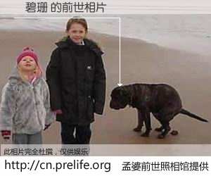 #孟婆前世照相馆# 【許碧珊 的前世相片】我们都曾从奈何桥上走过，喝下三碗忘川之水烹煮的孟婆汤，忘却了前尘旧事。孟婆前世照相馆，保存着你前世的数码相片。許碧珊 的前世相片，有图有真相：