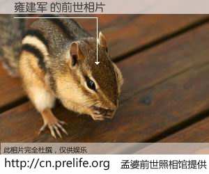 #孟婆前世照相馆# 【雍建军 的前世相片】我们都曾从奈何桥上走过，喝下三碗忘川之水烹煮的孟婆汤，忘却了前尘旧事。孟婆前世照相馆，保存着你前世的数码相片。雍建军 的前世相片，有图有真相：