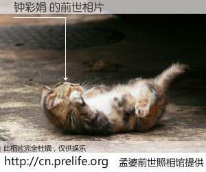 #孟婆前世照相馆# 【钟彩娟 的前世相片】我们都曾从奈何桥上走过，喝下三碗忘川之水烹煮的孟婆汤，忘却了前尘旧事。孟婆前世照相馆，保存着你前世的数码相片。钟彩娟 的前世相片，有图有真相：