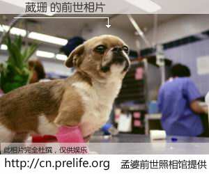 #孟婆前世照相馆# 【陳葳珊 的前世相片】我们都曾从奈何桥上走过，喝下三碗忘川之水烹煮的孟婆汤，忘却了前尘旧事。孟婆前世照相馆，保存着你前世的数码相片。陳葳珊 的前世相片，有图有真相：