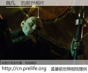 #孟婆前世照相馆# 【魏凡欽 的前世相片】我们都曾从奈何桥上走过，喝下三碗忘川之水烹煮的孟婆汤，忘却了前尘旧事。孟婆前世照相馆，保存着你前世的数码相片。魏凡欽 的前世相片，有图有真相：