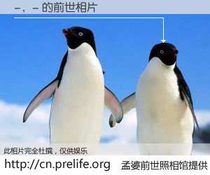 #孟婆前世照相馆# 【-，- 的前世相片】我们都曾从奈何桥上走过，喝下三碗忘川之水烹煮的孟婆汤，忘却了前尘旧事。孟婆前世照相馆，保存着你前世的数码相片。-，- 的前世相片，有图有真相：