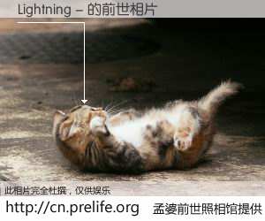 #孟婆前世照相馆# 【Lightning - 的前世相片】我们都曾从奈何桥上走过，喝下三碗忘川之水烹煮的孟婆汤，忘却了前尘旧事。孟婆前世照相馆，保存着你前世的数码相片。Lightning - 的前世相片，有图有真相：