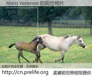 #孟婆前世照相馆# 【Maria Vestenaa 的前世相片】我们都曾从奈何桥上走过，喝下三碗忘川之水烹煮的孟婆汤，忘却了前尘旧事。孟婆前世照相馆，保存着你前世的数码相片。Maria Vestenaa 的前世相片，有图有真相：