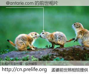 #孟婆前世照相馆# 【@antarie.com 的前世相片】我们都曾从奈何桥上走过，喝下三碗忘川之水烹煮的孟婆汤，忘却了前尘旧事。孟婆前世照相馆，保存着你前世的数码相片。@antarie.com 的前世相片，有图有真相：