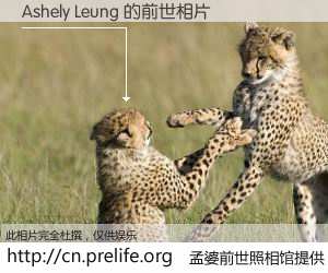 #孟婆前世照相馆# 【Ashely Leung 的前世相片】我们都曾从奈何桥上走过，喝下三碗忘川之水烹煮的孟婆汤，忘却了前尘旧事。孟婆前世照相馆，保存着你前世的数码相片。Ashely Leung 的前世相片，有图有真相：