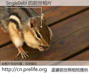 #孟婆前世照相馆# 【SingleDebt 的前世相片】我们都曾从奈何桥上走过，喝下三碗忘川之水烹煮的孟婆汤，忘却了前尘旧事。孟婆前世照相馆，保存着你前世的数码相片。SingleDebt 的前世相片，有图有真相：