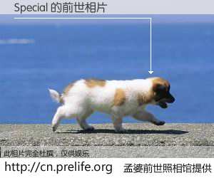 #孟婆前世照相馆# 【Special 的前世相片】我们都曾从奈何桥上走过，喝下三碗忘川之水烹煮的孟婆汤，忘却了前尘旧事。孟婆前世照相馆，保存着你前世的数码相片。Special 的前世相片，有图有真相：
