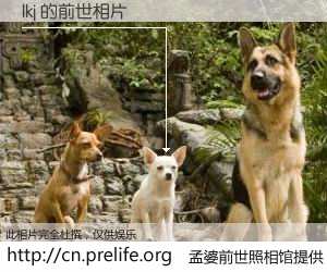 #孟婆前世照相馆# 【lkj 的前世相片】我们都曾从奈何桥上走过，喝下三碗忘川之水烹煮的孟婆汤，忘却了前尘旧事。孟婆前世照相馆，保存着你前世的数码相片。lkj 的前世相片，有图有真相：