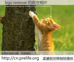 #孟婆前世照相馆# 【logo remover 的前世相片】我们都曾从奈何桥上走过，喝下三碗忘川之水烹煮的孟婆汤，忘却了前尘旧事。孟婆前世照相馆，保存着你前世的数码相片。logo remover 的前世相片，有图有真相：