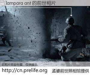 #孟婆前世照相馆# 【lampara ant 的前世相片】我们都曾从奈何桥上走过，喝下三碗忘川之水烹煮的孟婆汤，忘却了前尘旧事。孟婆前世照相馆，保存着你前世的数码相片。lampara ant 的前世相片，有图有真相：